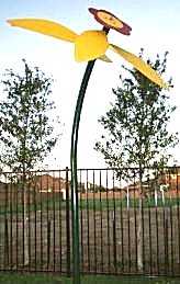 Water Flower